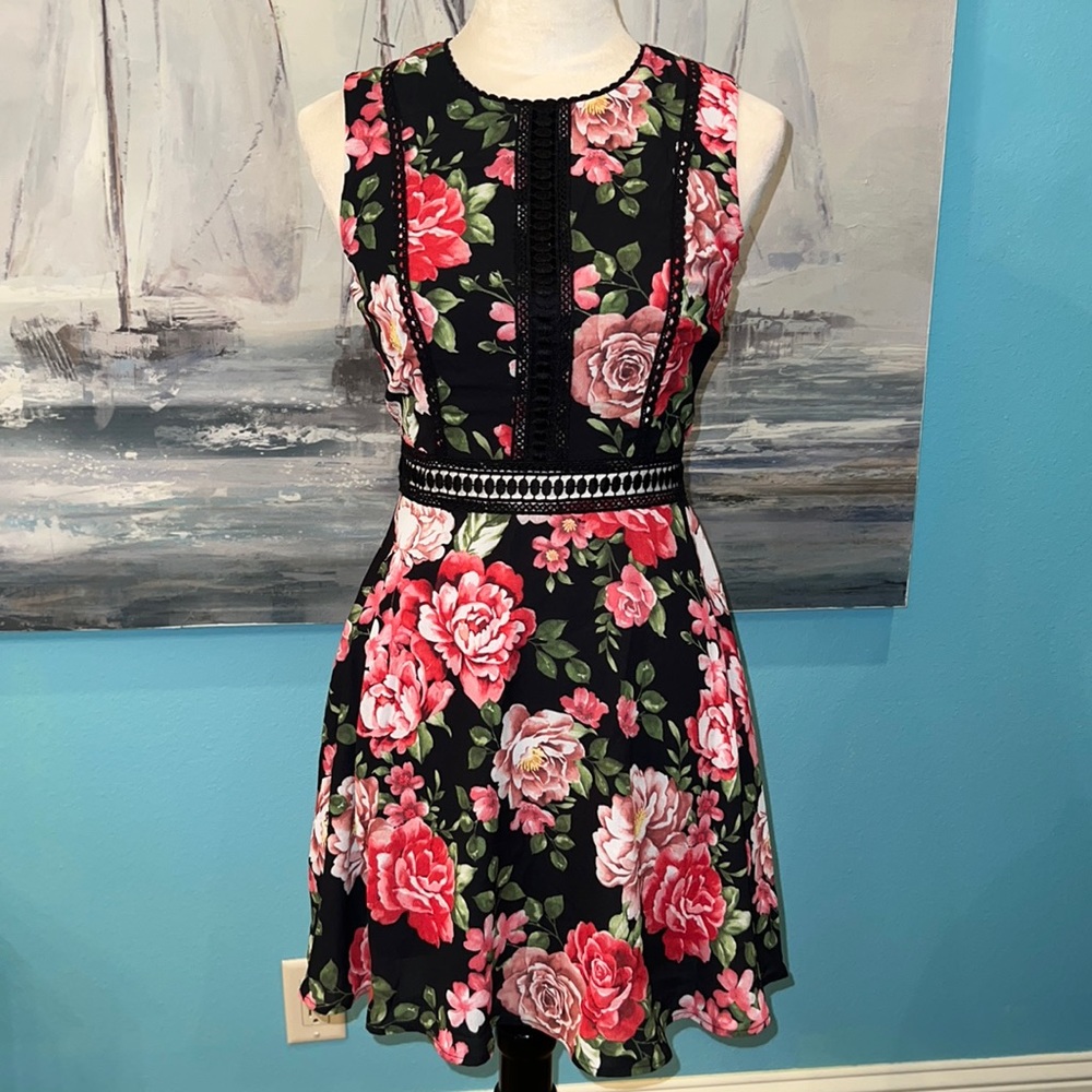 Disney Princess Red Roses Dress, XS
